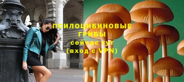молекула духа Алексин