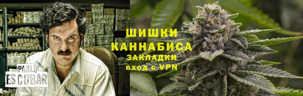 ПСИЛОЦИБИНОВЫЕ ГРИБЫ Алзамай