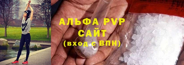 молекула духа Алексин